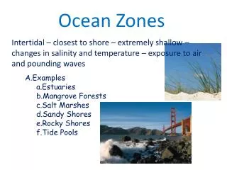 ocean zones