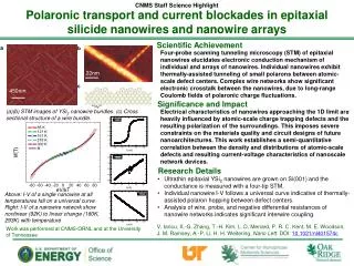 Polaronic transport and current blockades in epitaxial silicide nanowires and nanowire arrays