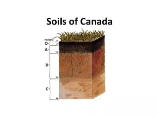 Soils of Canada