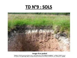 td n 9 sols