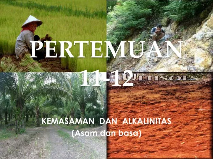 pertemuan 11 12