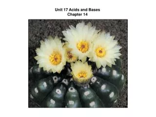 Unit 17 Acids and Bases Chapter 14