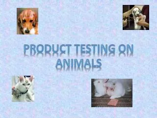 Product Testing on Animals