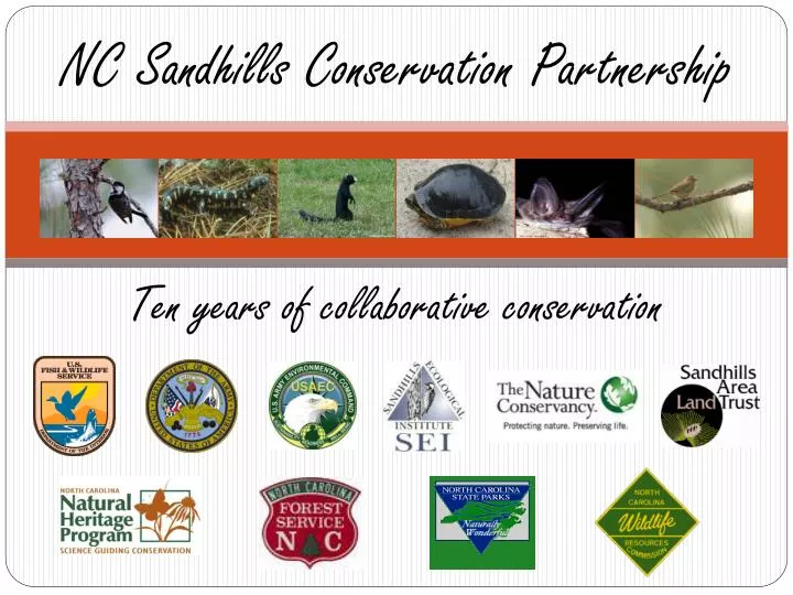 nc sandhills conservation partnership
