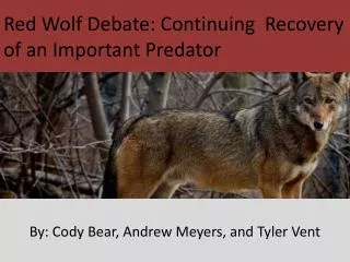 Red Wolf Debate: Continuing Recovery of an Important Predator