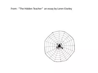 From: “The Hidden Teacher” an essay by Loren Eiseley