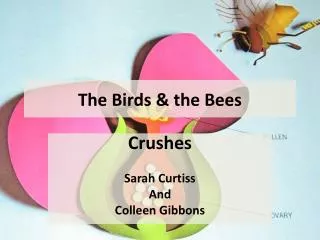 The Birds &amp; the Bees