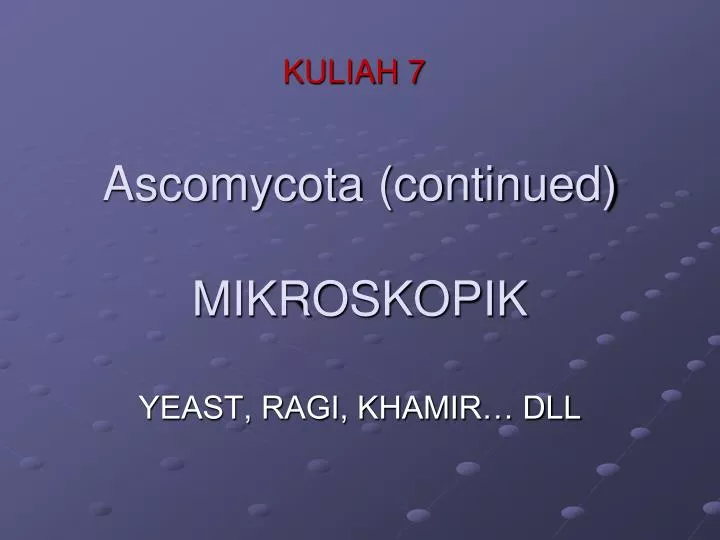 ascomycota continued mikroskopik
