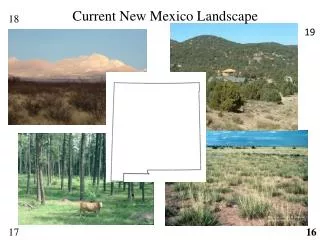 Current New Mexico Landscape