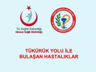t k r k yolu le bula an hastaliklar