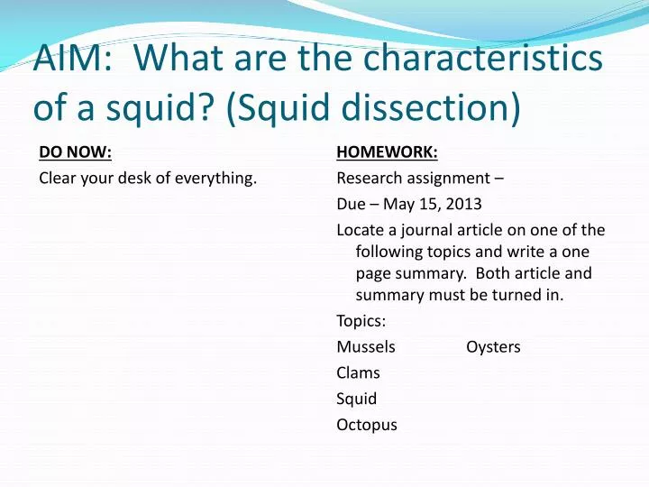 aim what are the characteristics of a squid squid dissection