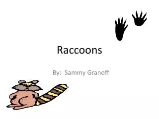 Raccoons