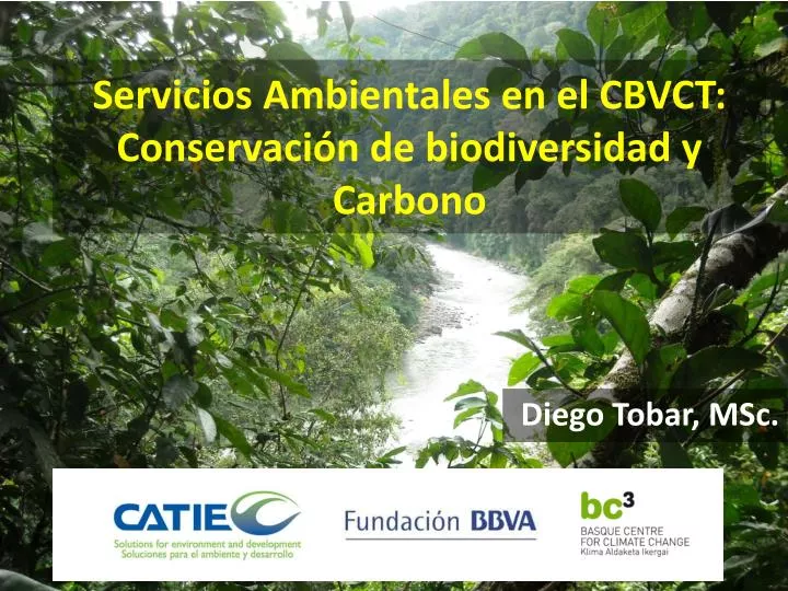 servicios ambientales en el cbvct conservaci n de biodiversidad y carbono