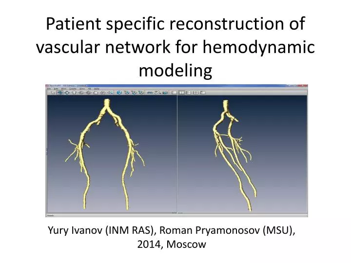 patient specific reconstruction of vascular network for hemodynamic modeling