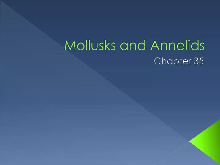 mollusks and annelids