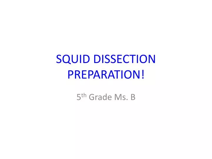 squid dissection preparation