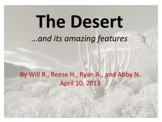 The Desert …and its amazing features