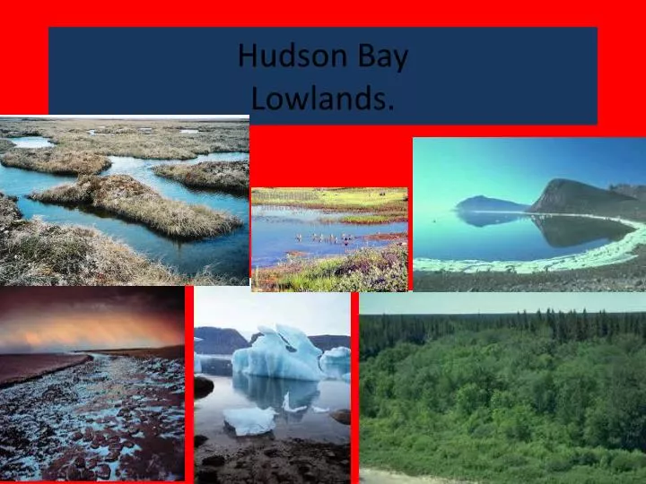 hudson bay lowlands