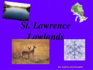 St. Lawrence Lowlands