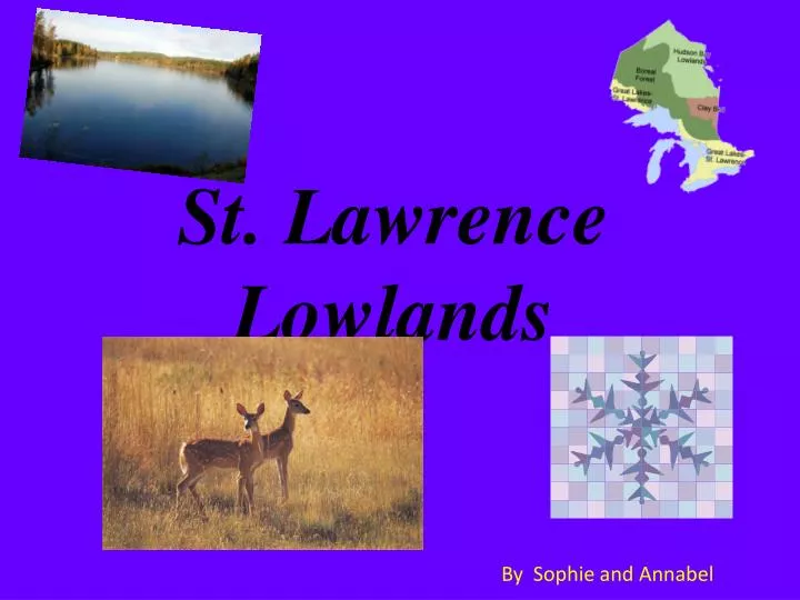 st lawrence lowlands