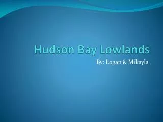 Hudson Bay Lowlands