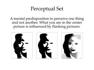 Perceptual Set
