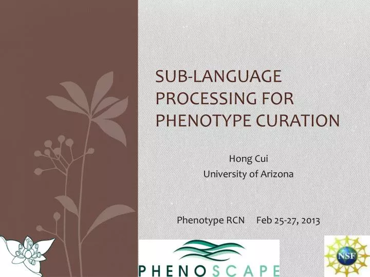 sub language processing for phenotype curation