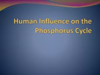 Human Influence on the Phosphorus Cycle