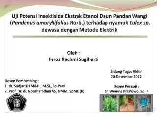 feros rachmi
