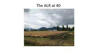 The ALR at 40