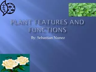 Plant fe a tures and functions
