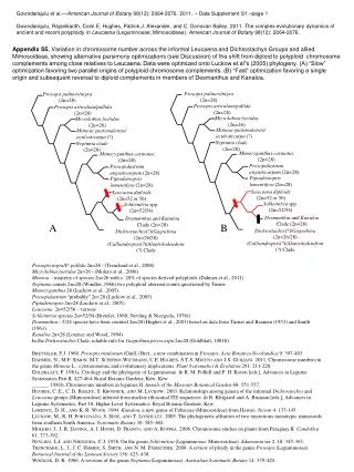 Prosopis palmeri/nigra (2n=28)