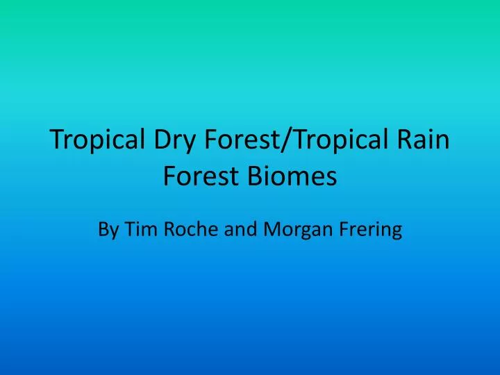 tropical dry forest tropical rain forest biomes