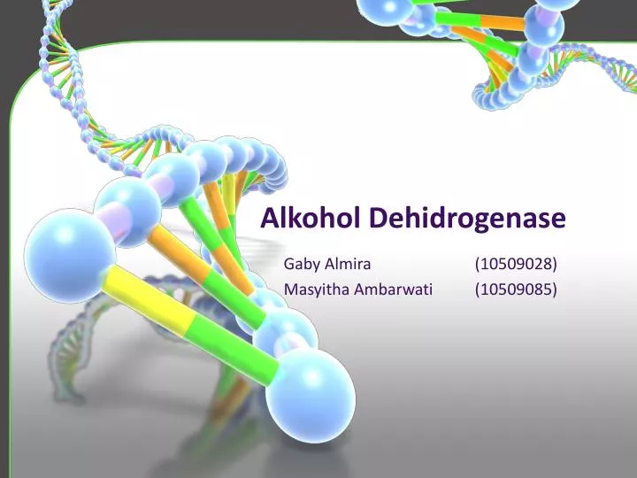 alkohol dehidrogenase