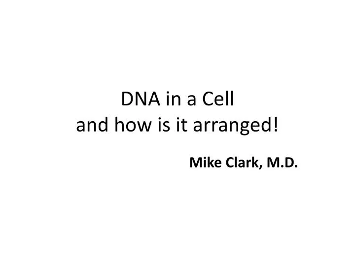 dna in a cell and how is it arranged