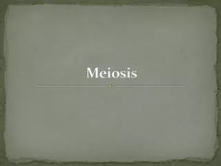 Meiosis