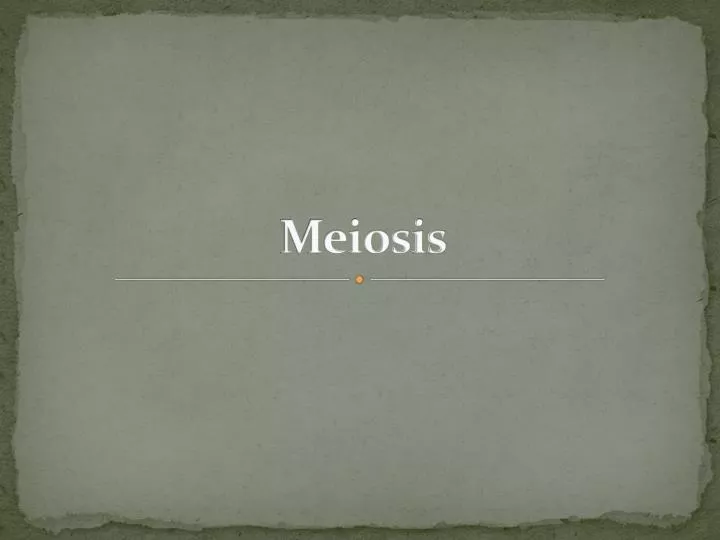 meiosis