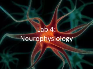 Lab 4: Neurophysiology