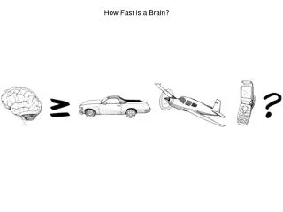 How Fast is a Brain?