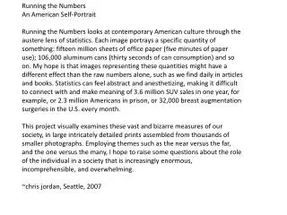 Running the Numbers An American Self-Portrait