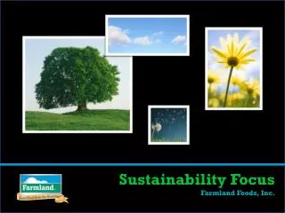 Sustainability Focus