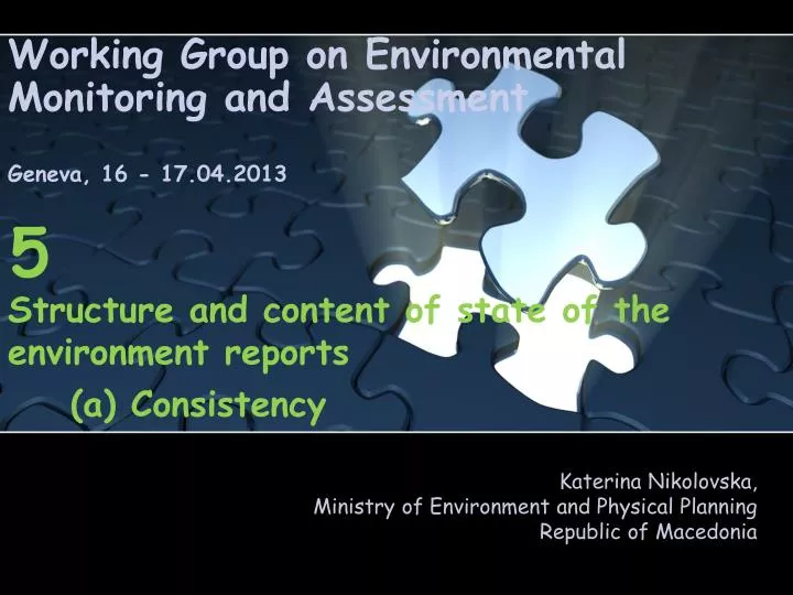 working group on environmental monitoring and assessment geneva 16 17 04 2013