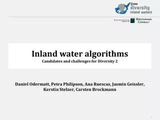 Inland water algorithms Candidates and challenges for Diversity 2