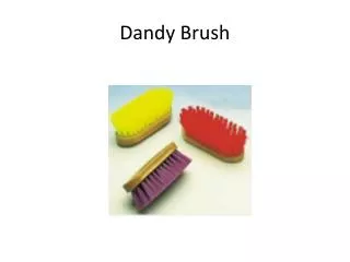 Dandy Brush