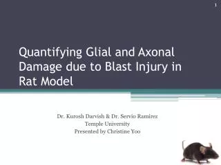 Quantifying Glial and Axonal Damage due to Blast Injury in Rat Model