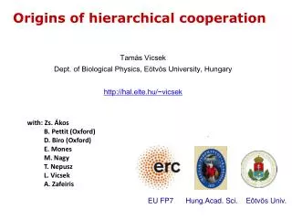 Origins of hierarchical cooperation