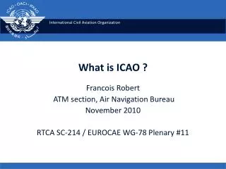 What is ICAO ?