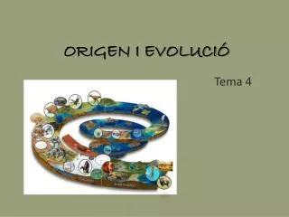 origen i evoluci
