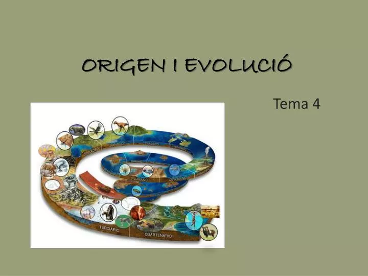 origen i evoluci