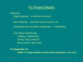 Fly Project Begins